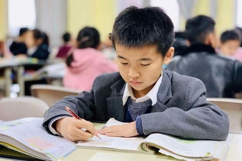 教育改革新戰(zhàn)略即將落地，家長(zhǎng)心態(tài)需理性調(diào)整